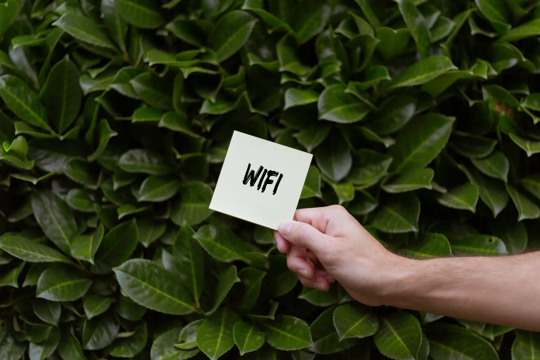 person holding a card with wifi text